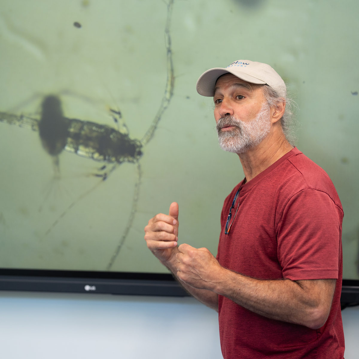Senior Research Scientist David Fields teaches about zooplankton