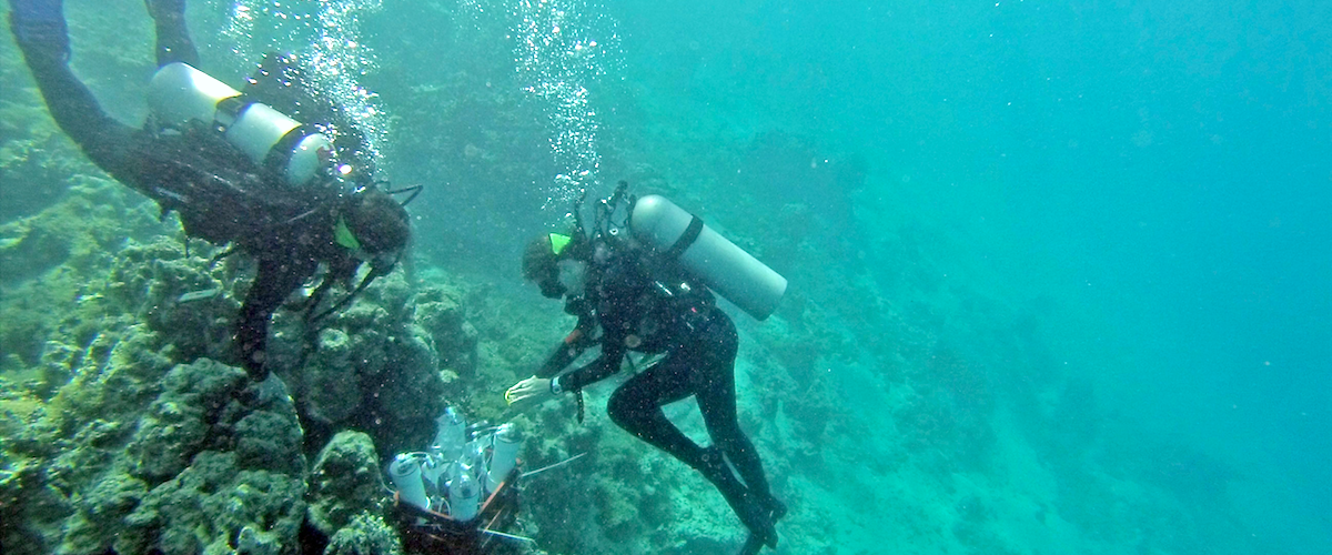 Scientists scuba diving underwater performing an experiment.