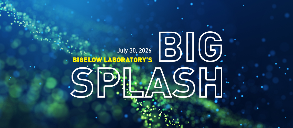 Big Splash at Bigelow Laboratory