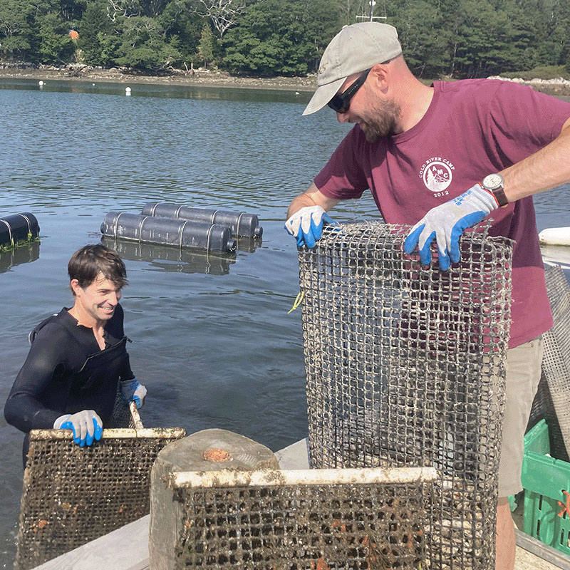 Bigelow Laboratory supporting Maine aquaculture