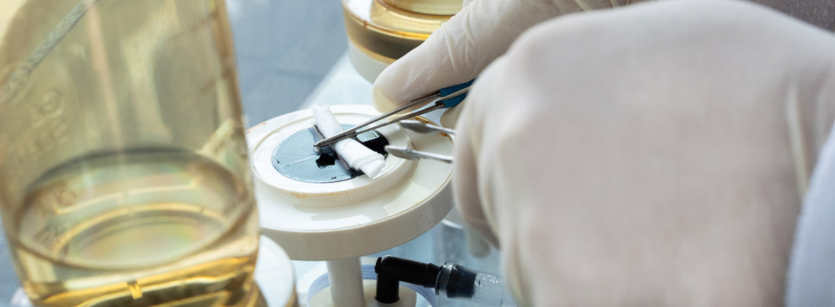 Environmental DNA and Environmental RNA