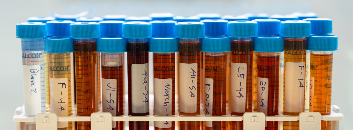 Bigelow Laboratory measures trace metals