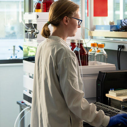 Bigelow Laboratory Analytical Services