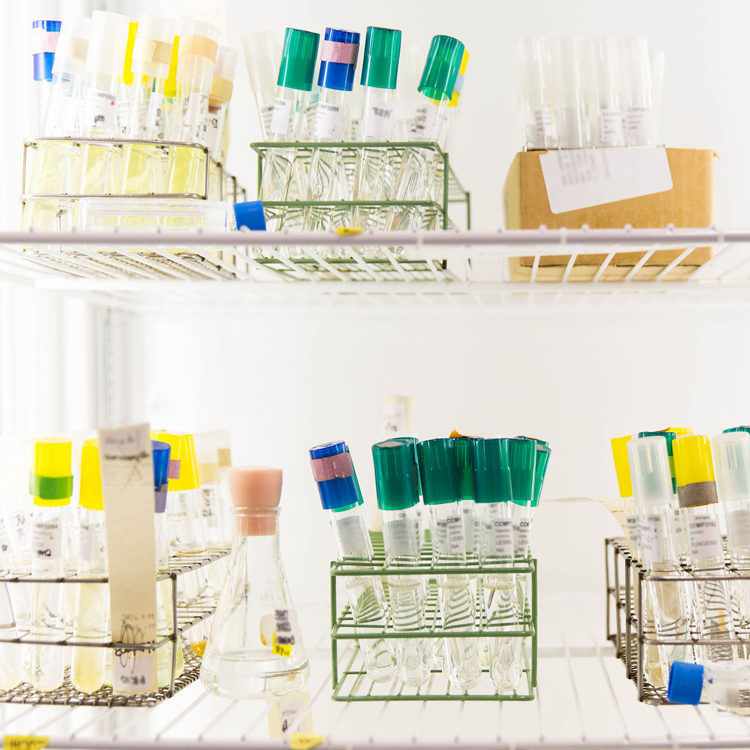 Biological Material Deposits at Bigelow Laboratory