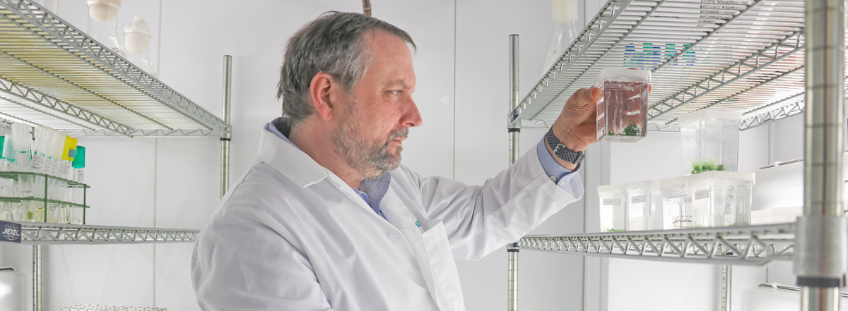 Scientist in Biological Material Cooler