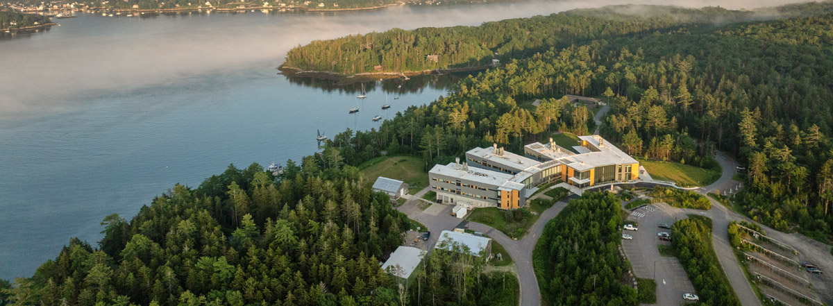 The RV Bowditch on a research cruise in the Gulf of Maine