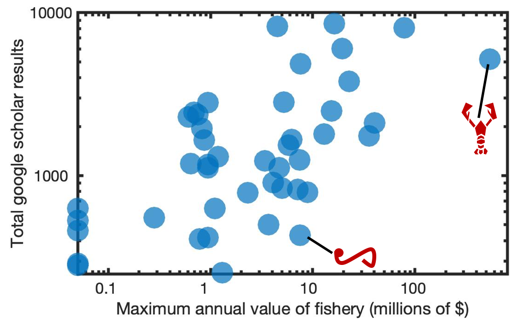 Uncovering big data bias in sustainability science