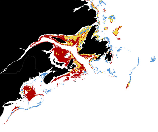 Forecasting new regions of right whale foraging