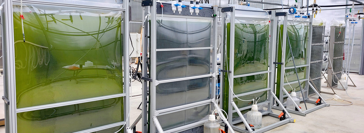 Bigelow Laboratorys Greenhouse