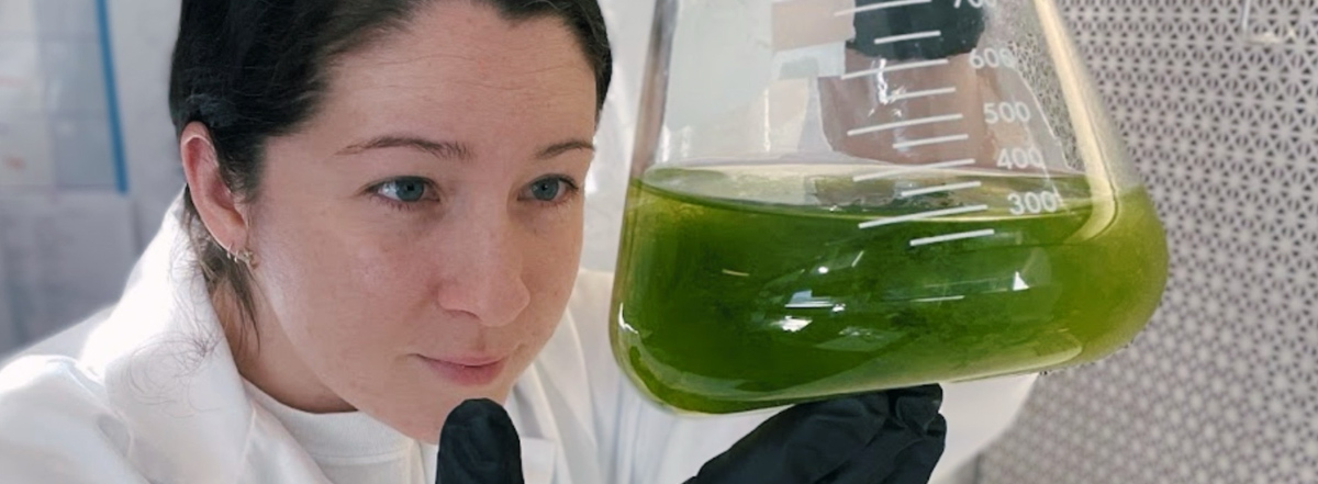Associate Curator Kerry Dykens examines algae